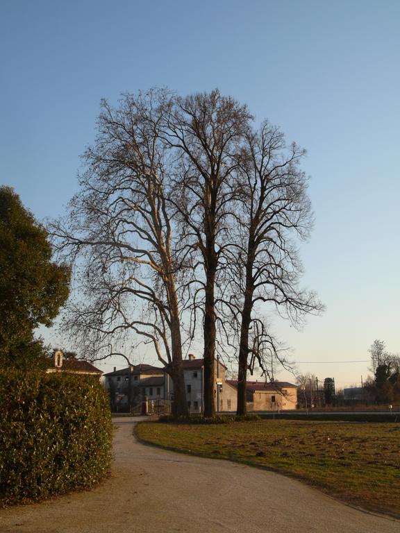 B&B Giardino Jappelli 로자 외부 사진